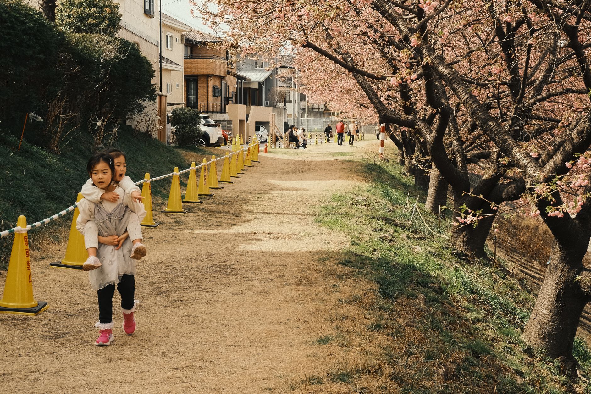 Vacances scolaires au Japon 2025-2026 : structure de l’année et grandes périodes importantes — enfants japonais sous cerisiers en fleurs