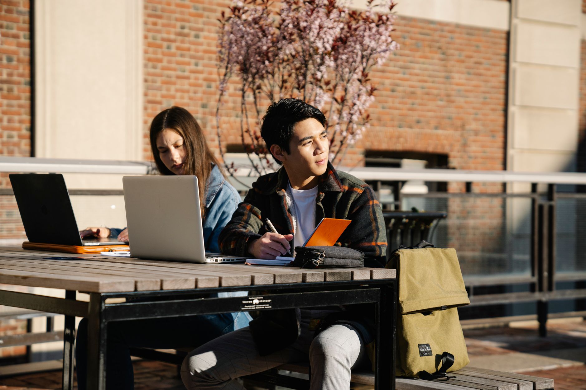 École de commerce : comprendre les programmes, les labels et les vraies différences — étudiants en école de commerce étudiant ensemble