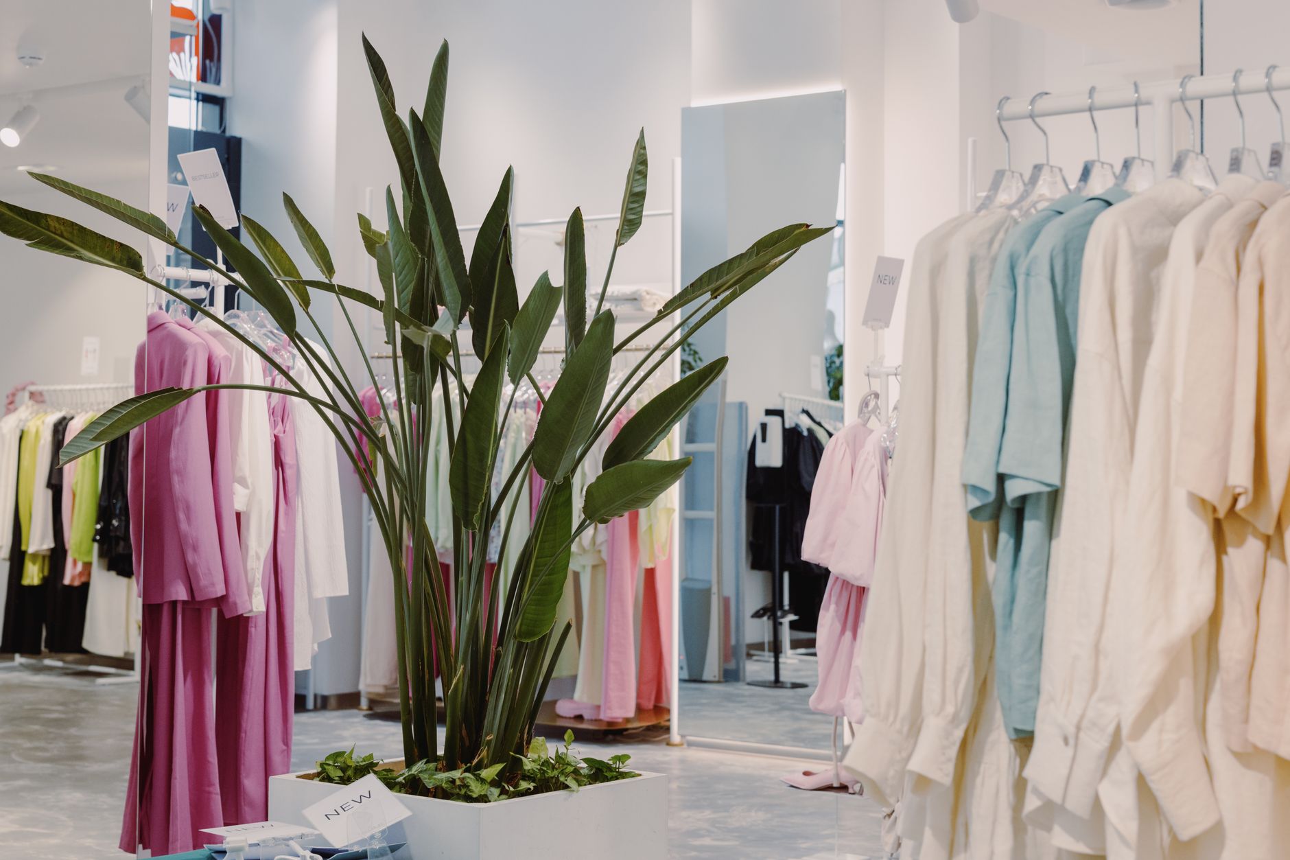 Comment ouvrir une boutique de — intérieur d'une boutique de vêtements