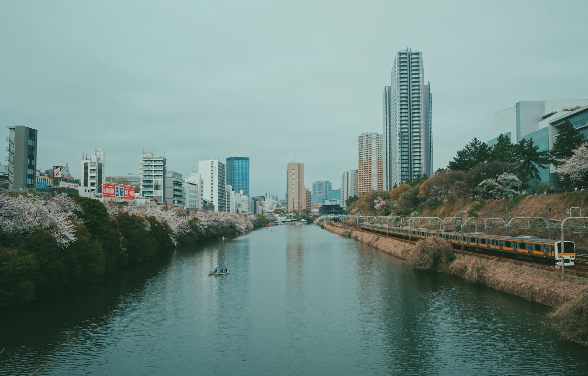 S'expatrier au Japon démarches, prix — skyline japonais avec cerisiers en fleurs